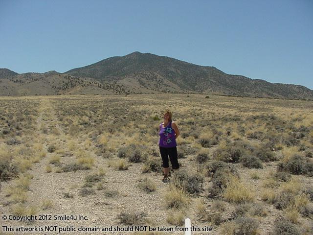 Beautiful views of the treed Toano Mountains from this land for sale in Montello in Elko County, Nevada. The locals told me this was a Sacred part of the mountains to the Native Americans!